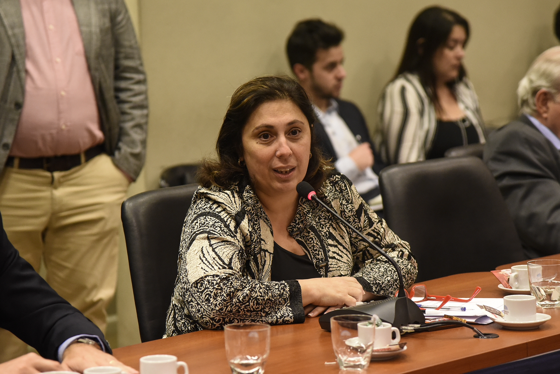Galeria de imagenes de la noticia VIOLENCIA EN EL FÚTBOL: DEBATEN EL PROYECTO QUE AVANZA CONTRA LAS BARRASBRAVAS